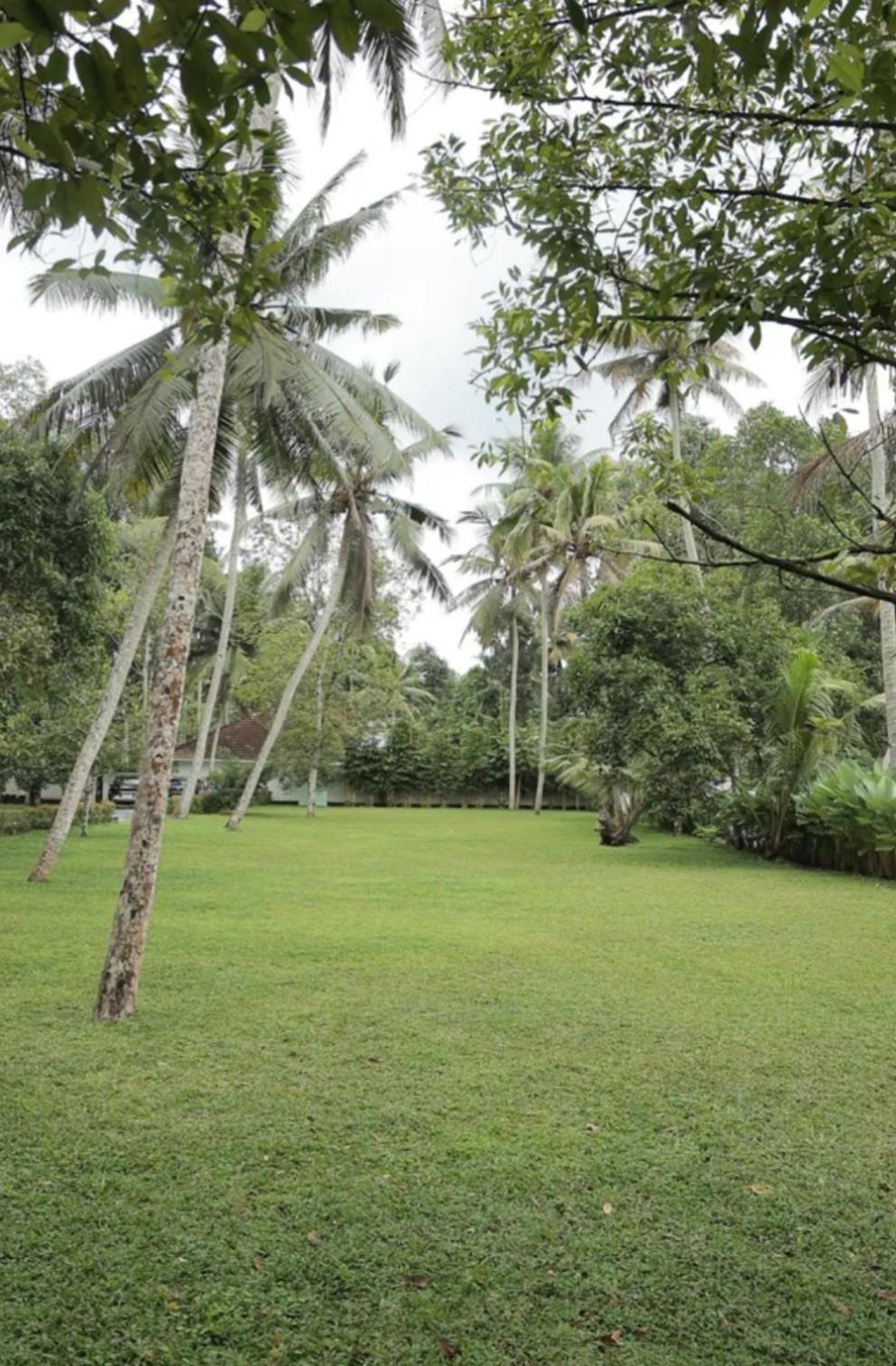 Vazhemadom Homestay