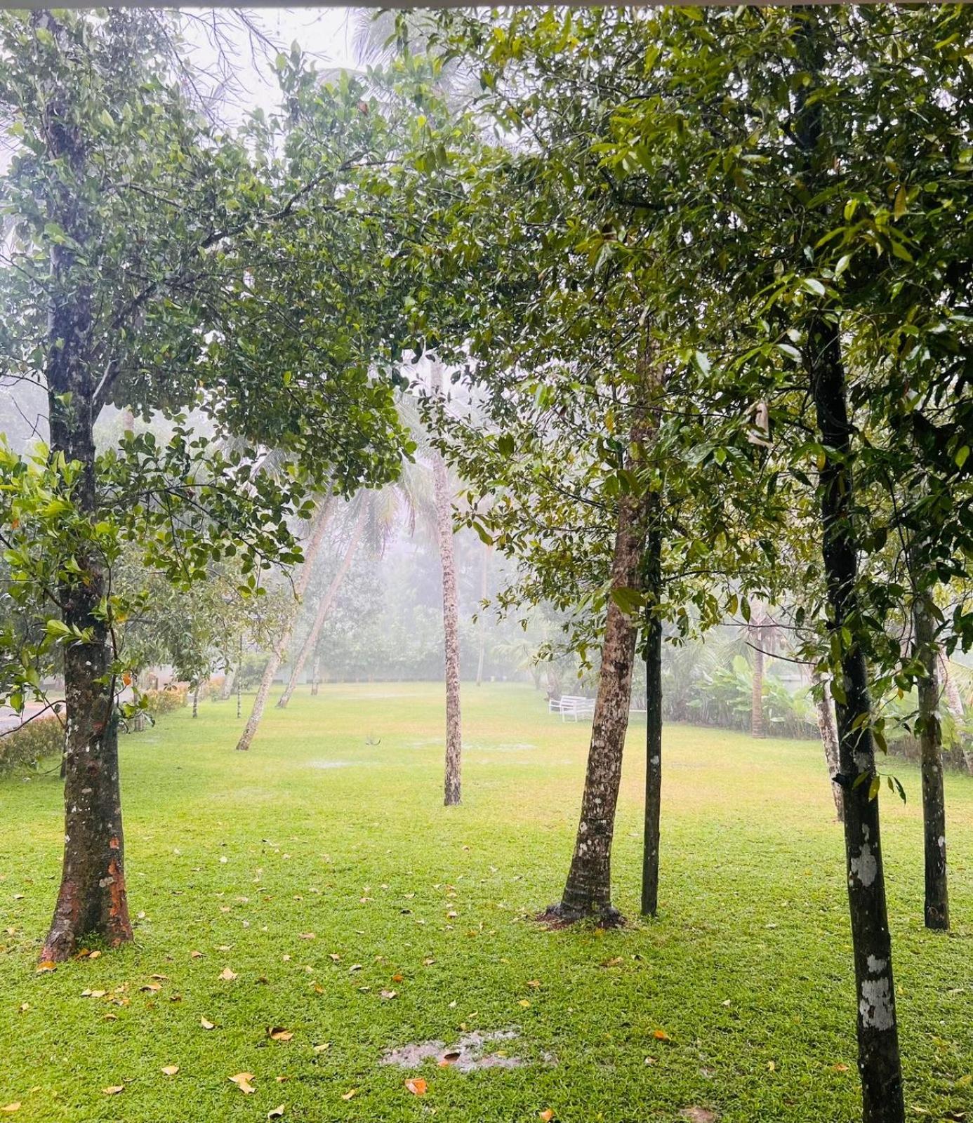 Vazhemadom Homestay