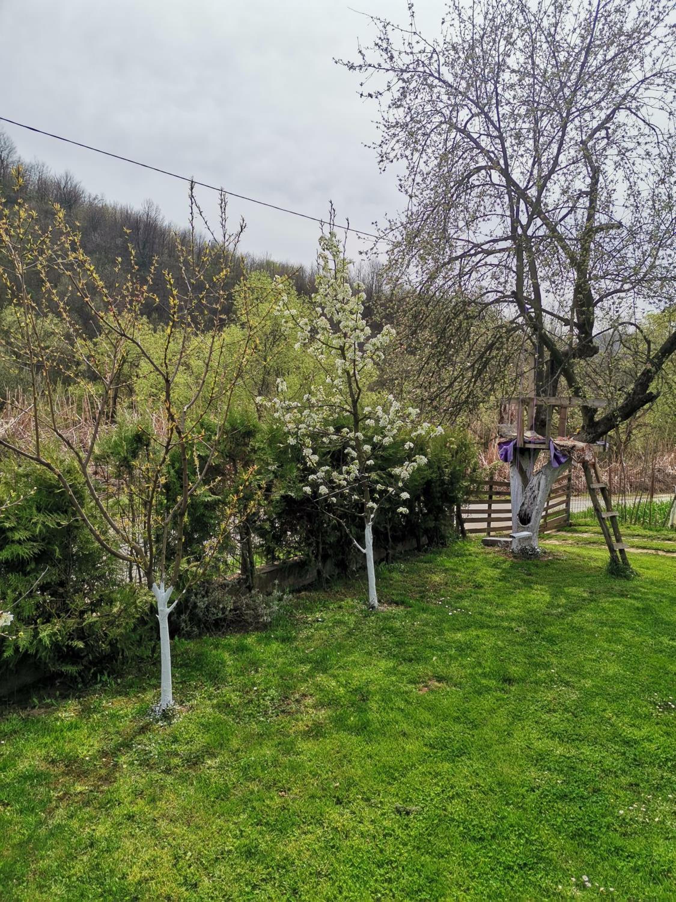 Guest House Nature