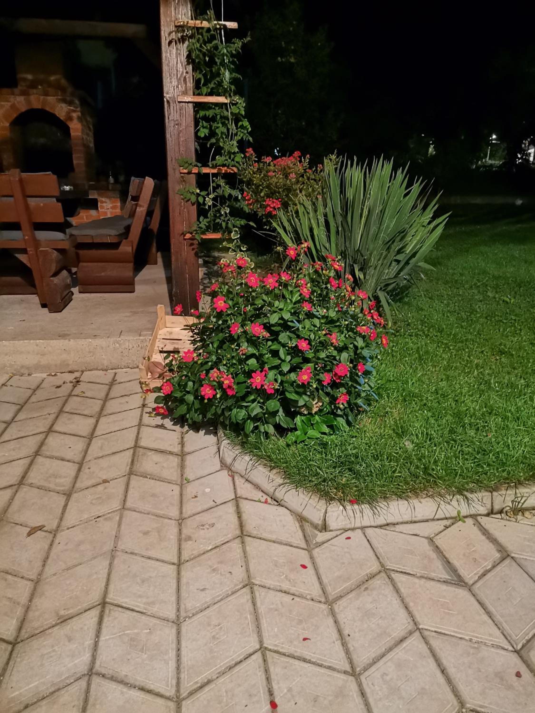 Guest House Nature