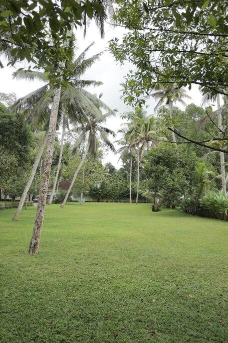 Vazhemadom Homestay