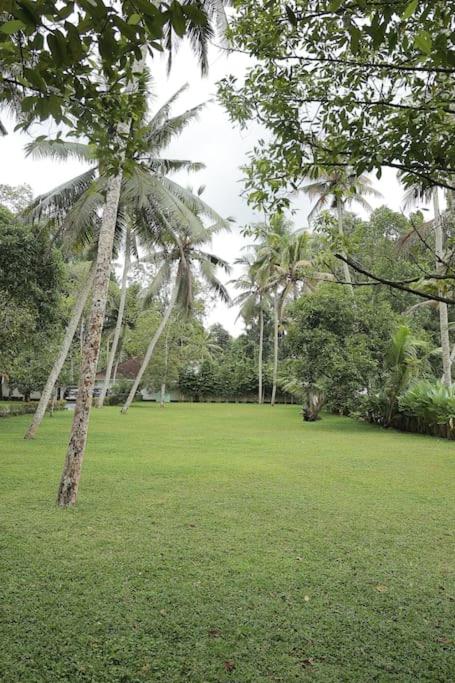 Vazhemadom Homestay