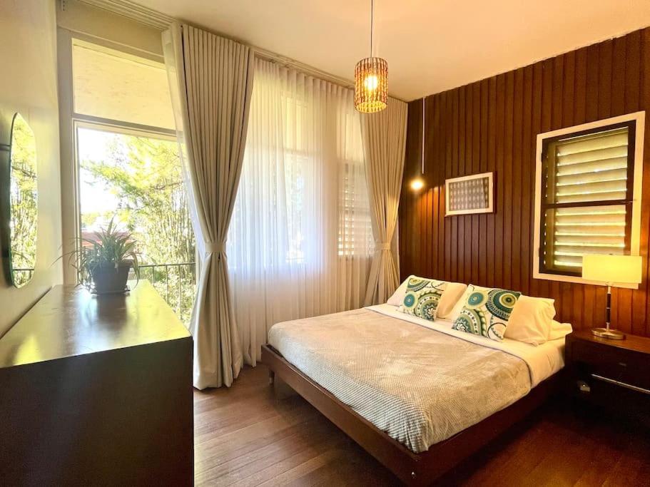 Mid-Century Modern Centrally Located Garden Oasis view 3