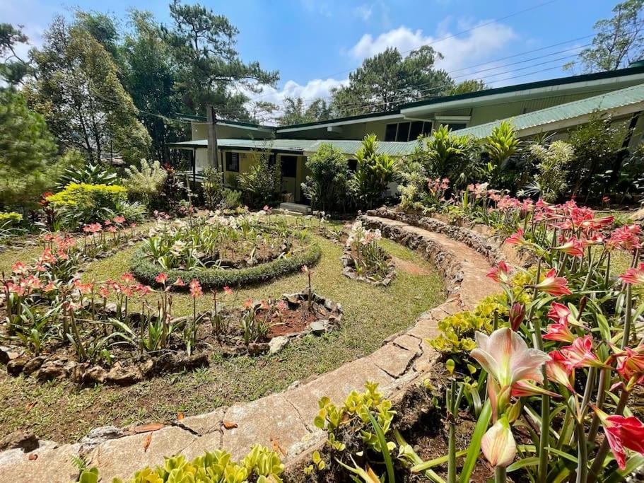 Mid-Century Modern Centrally Located Garden Oasis view 5