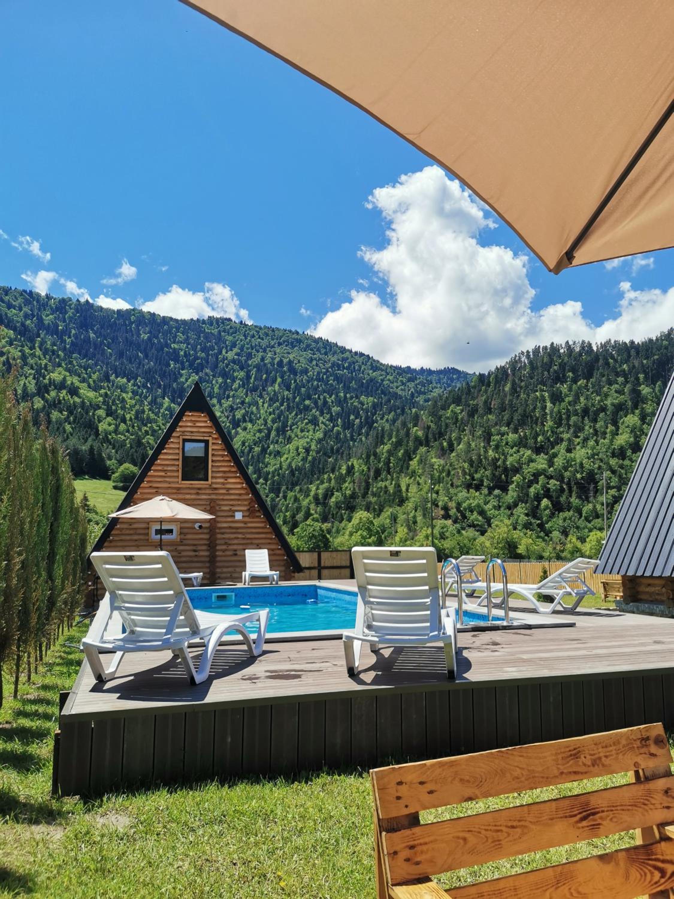 Eco cottage in Borjomi with pool 1 view 5