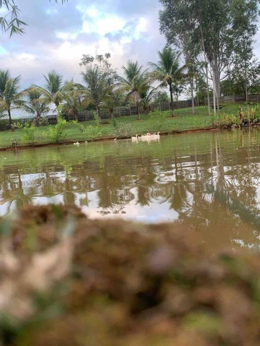 Casa de Campo Tamanduá - Conexão com a Natureza!