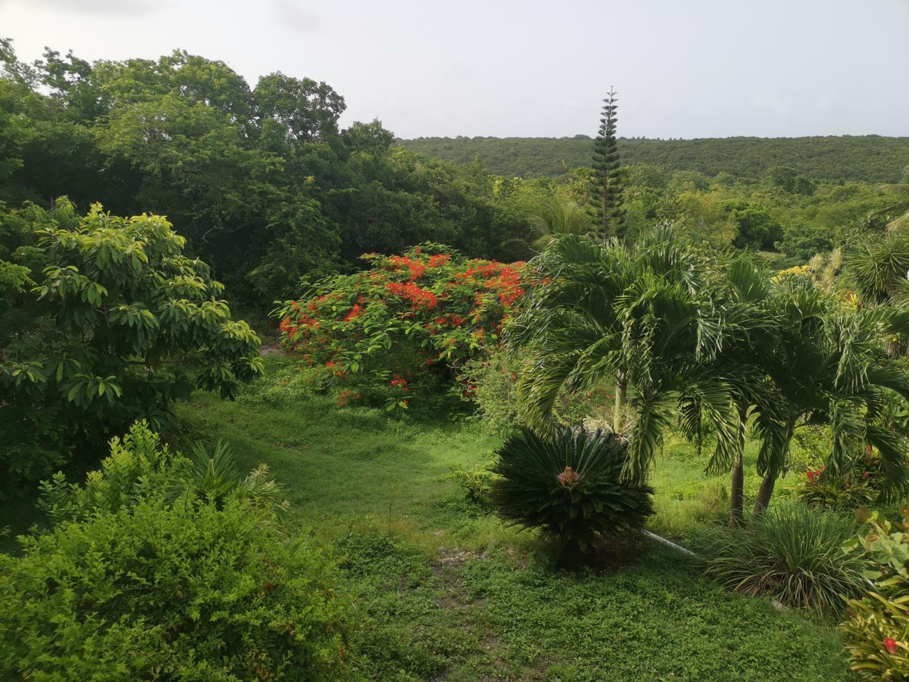 Domaine des Deux Mares view 5