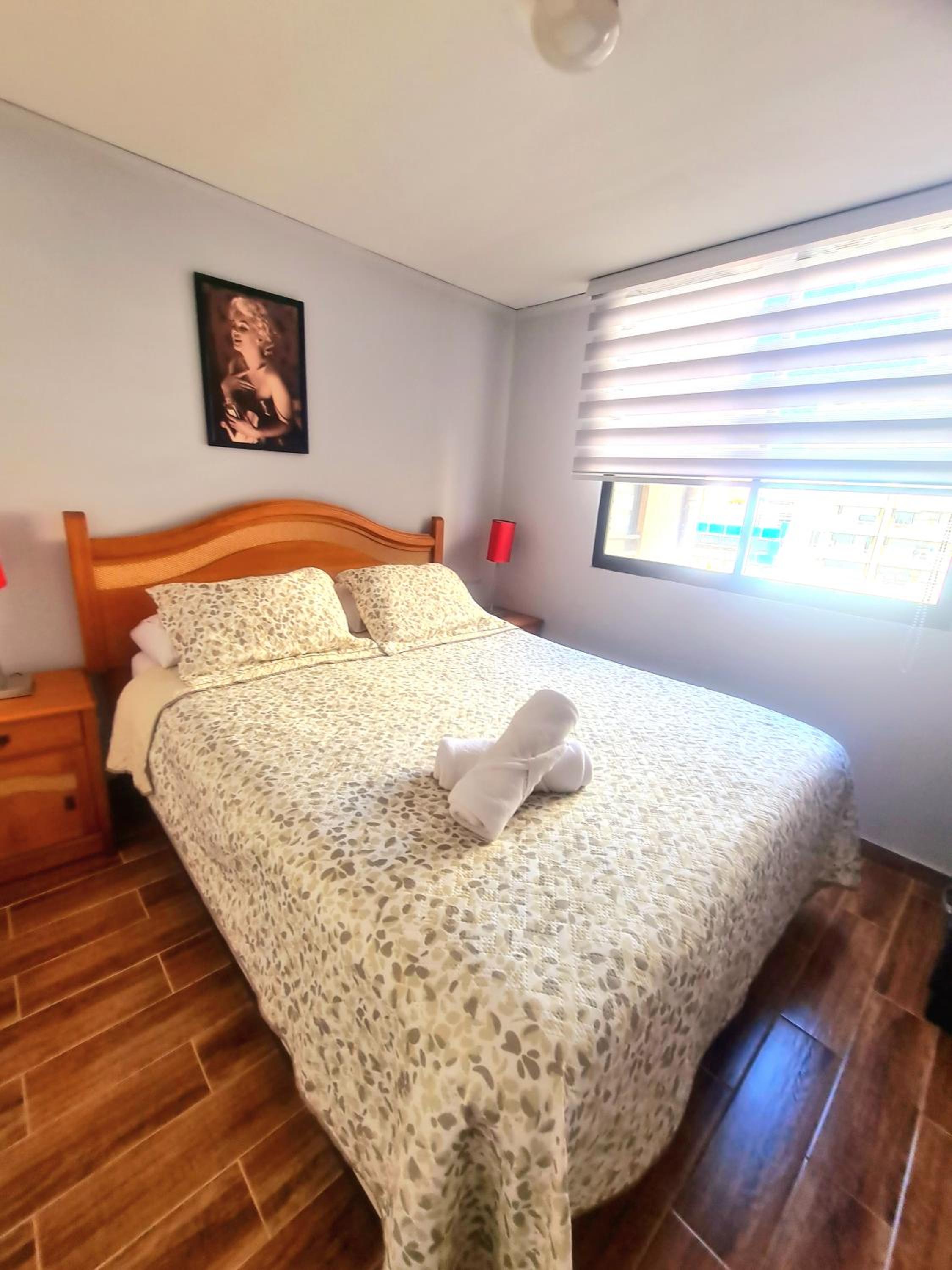 Apartamento 1 habitación Santiago Centro