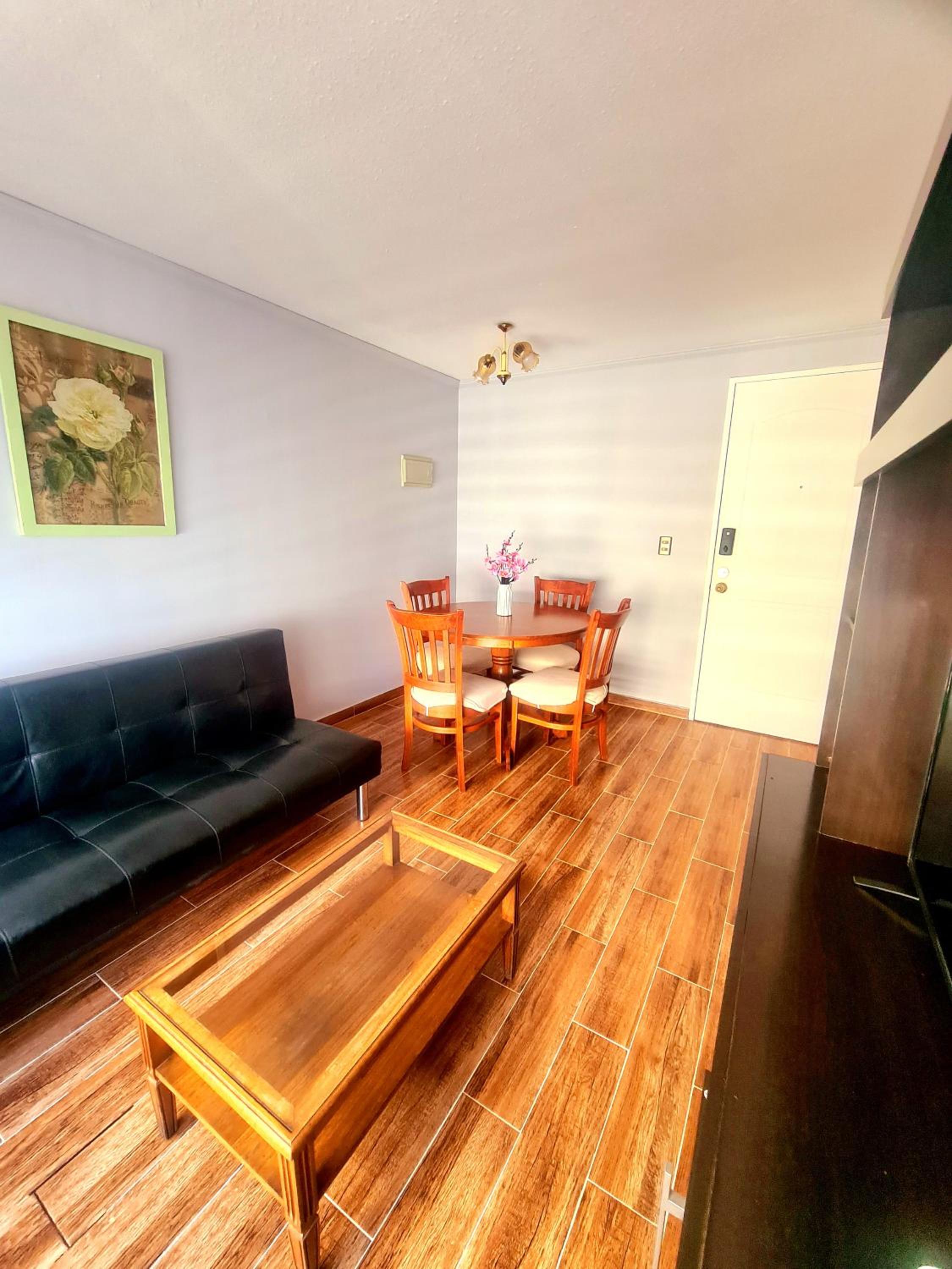 Apartamento 1 habitación Santiago Centro