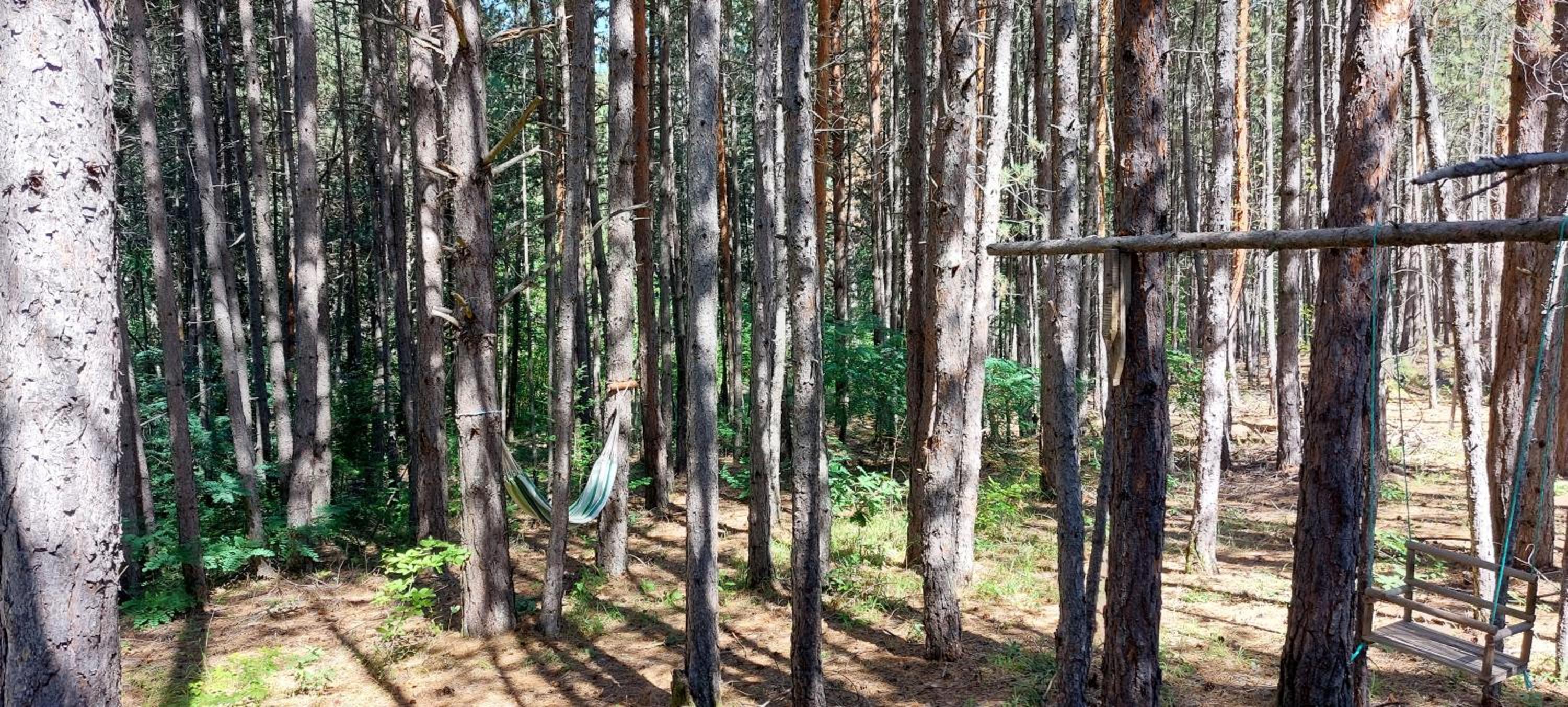 other