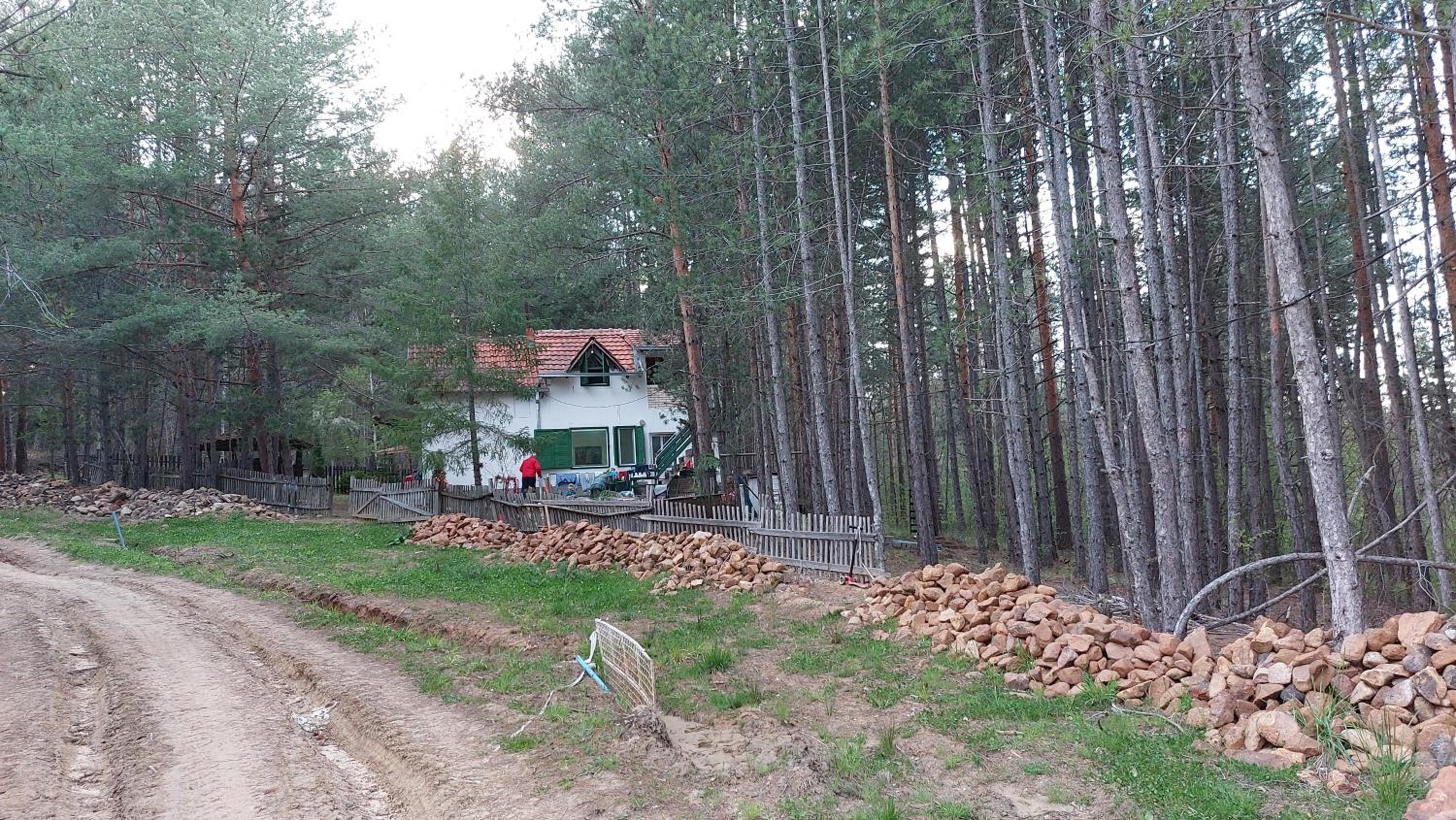 Forest villa Atlantic view 5