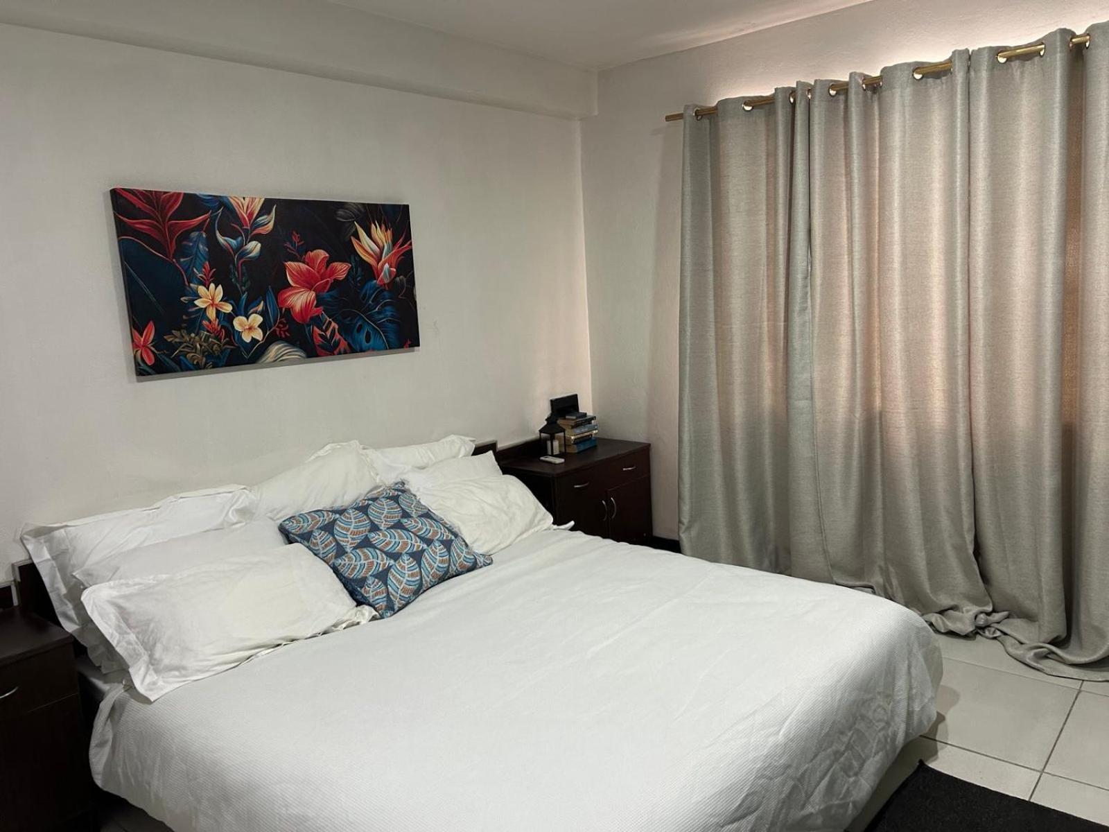 2 Bedroom Apartment in Suva City - view 4