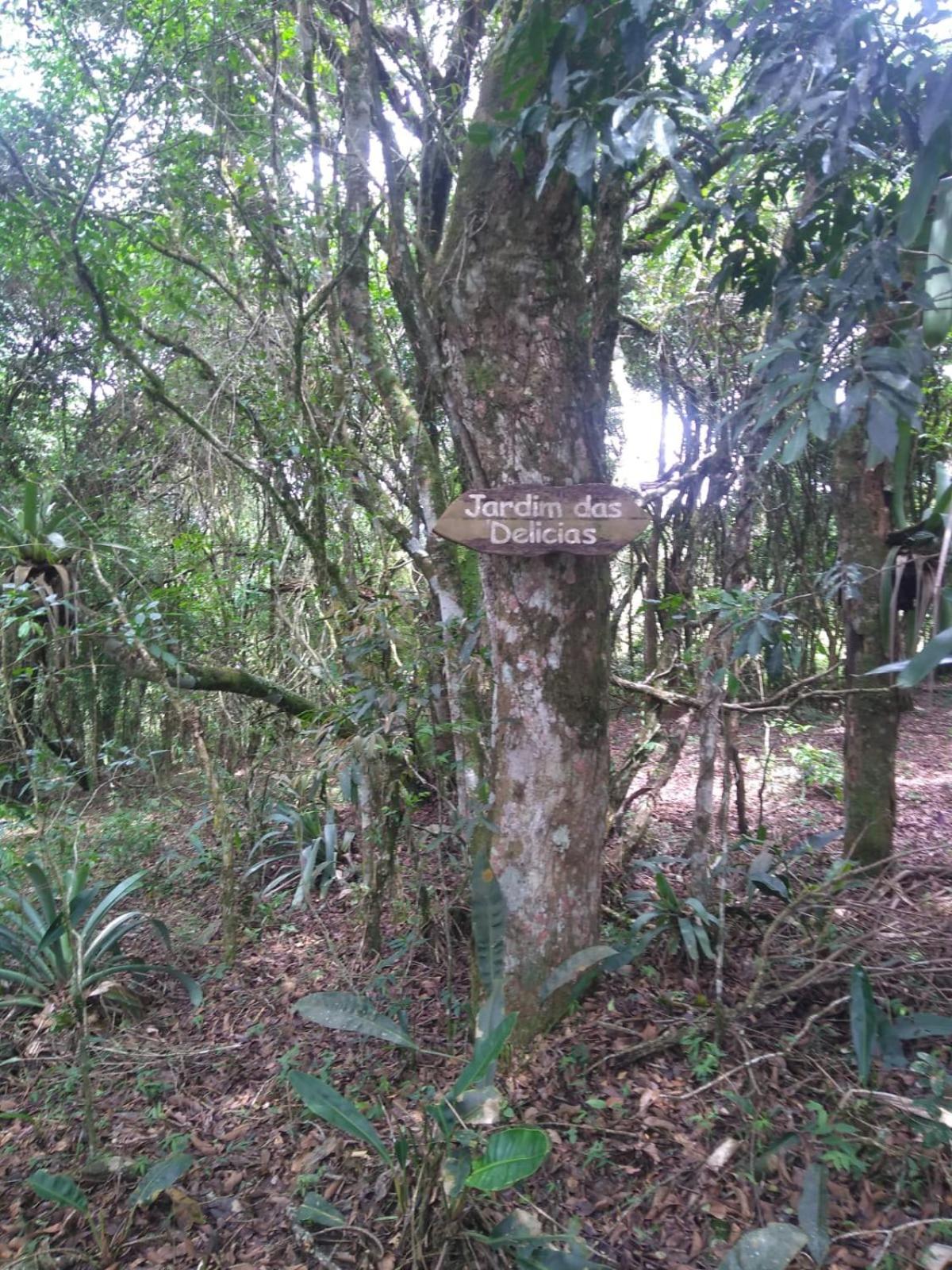 Pousada do Artista