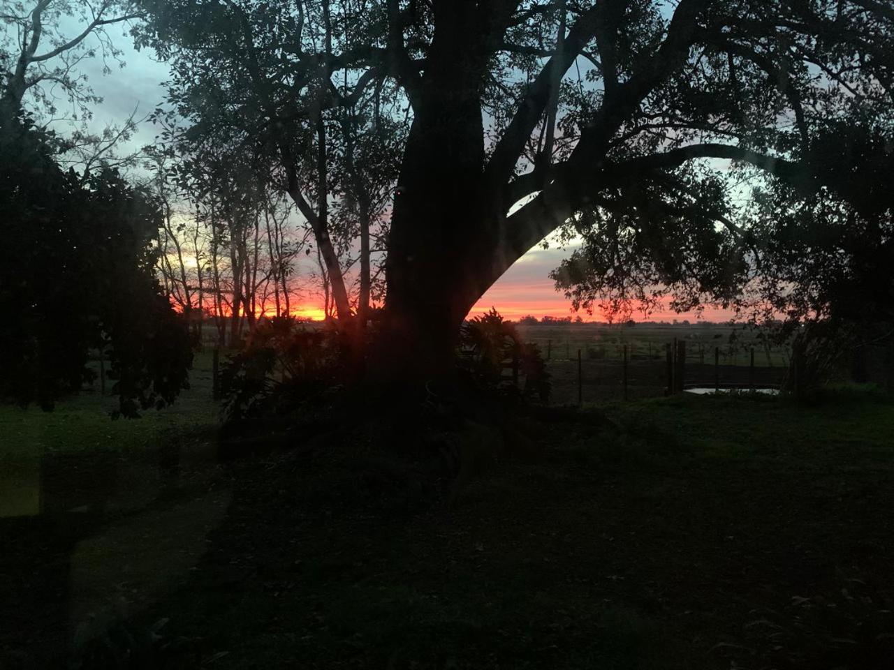 La Angelita Este