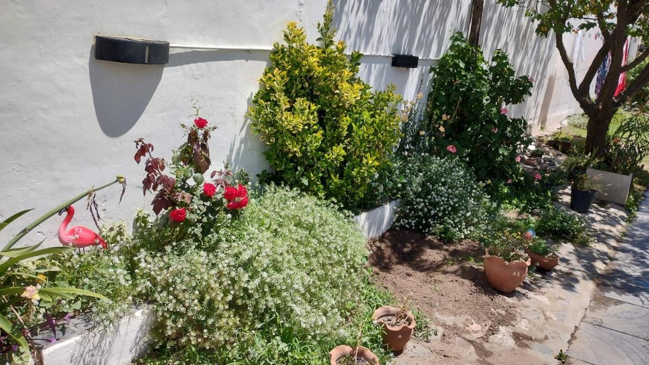 Mi lugar
