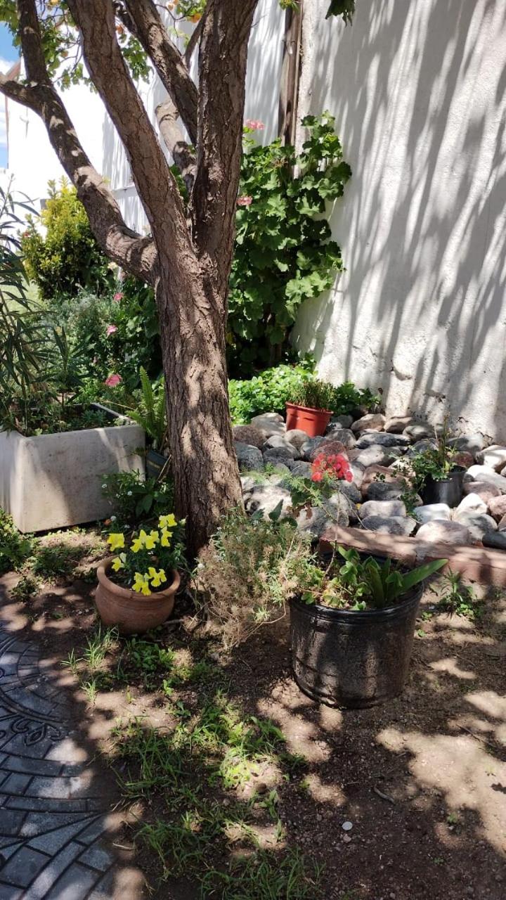 Mi lugar