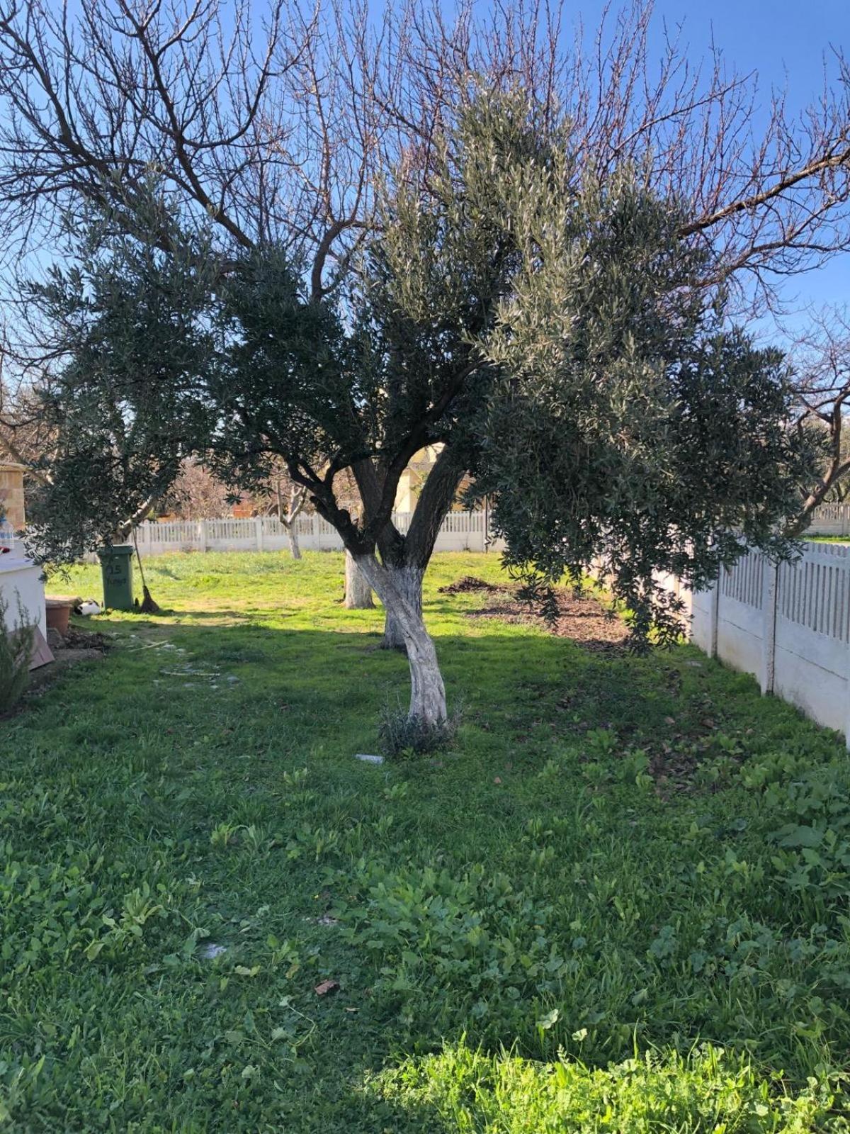Troya Garden Villa view 2