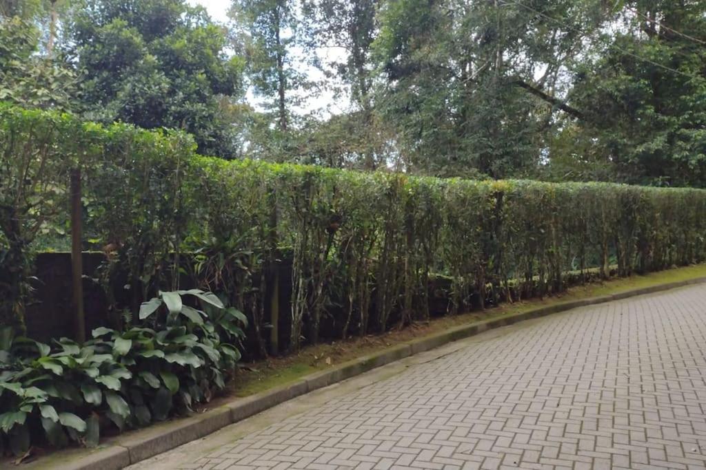 Apartamanto Juquehy - Litoral Norte - SP