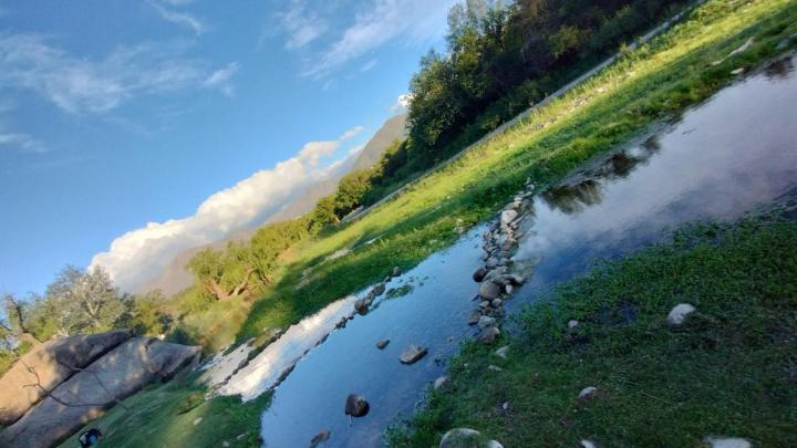 Mi lugar