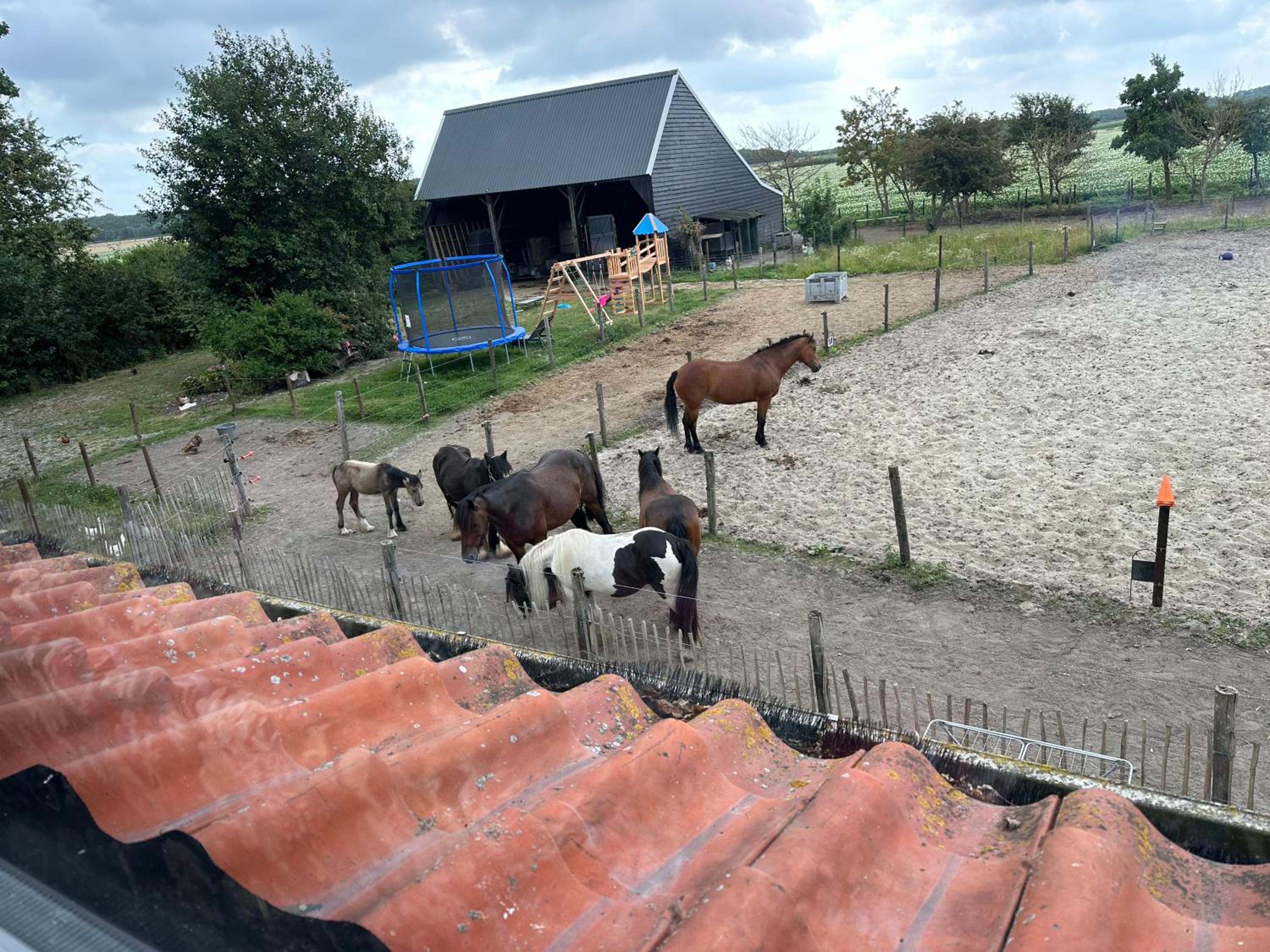 Het Tinkerparadijs, paarden, rust en ruimte. view 2