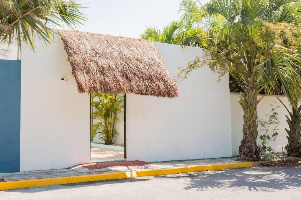 M&Z Loft Las Palmas