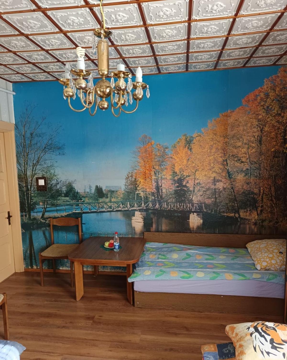 Cosy Charming Guest House in central of Marijampole view 3