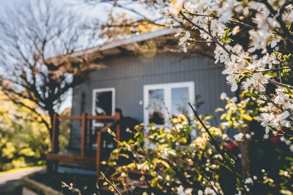 Hotel Gullyview Spa Cottage Daylesford- Walk To Town