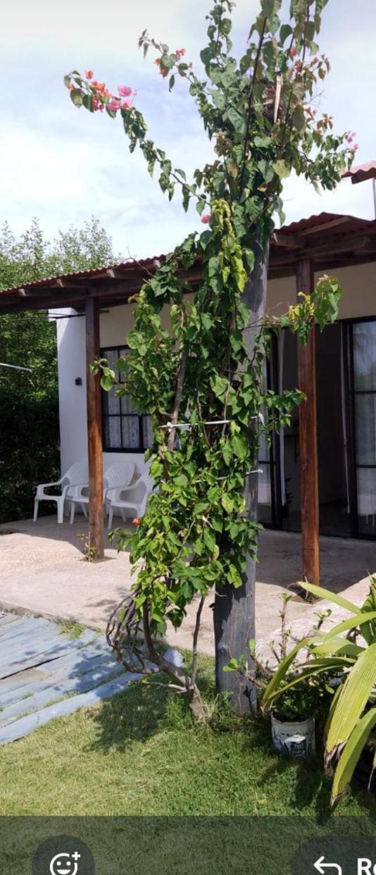 Portón Encanto