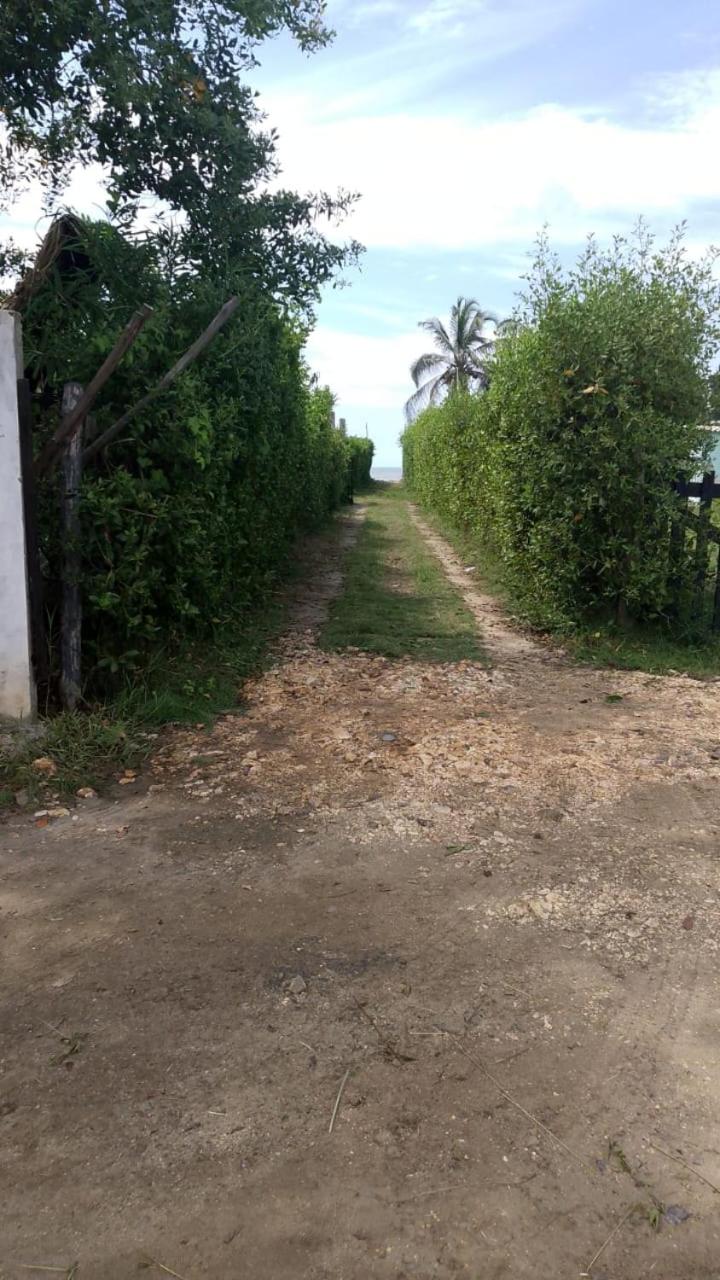 Portón Encanto
