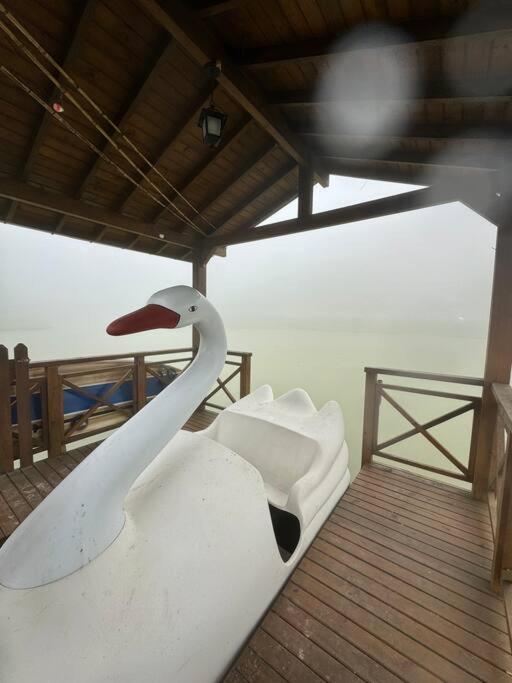 Casa de Campo - Águas Mornas SC