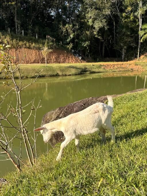 Casa de Campo - Águas Mornas SC