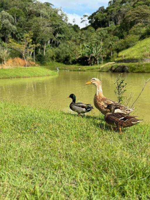 Casa de Campo - Águas Mornas SC