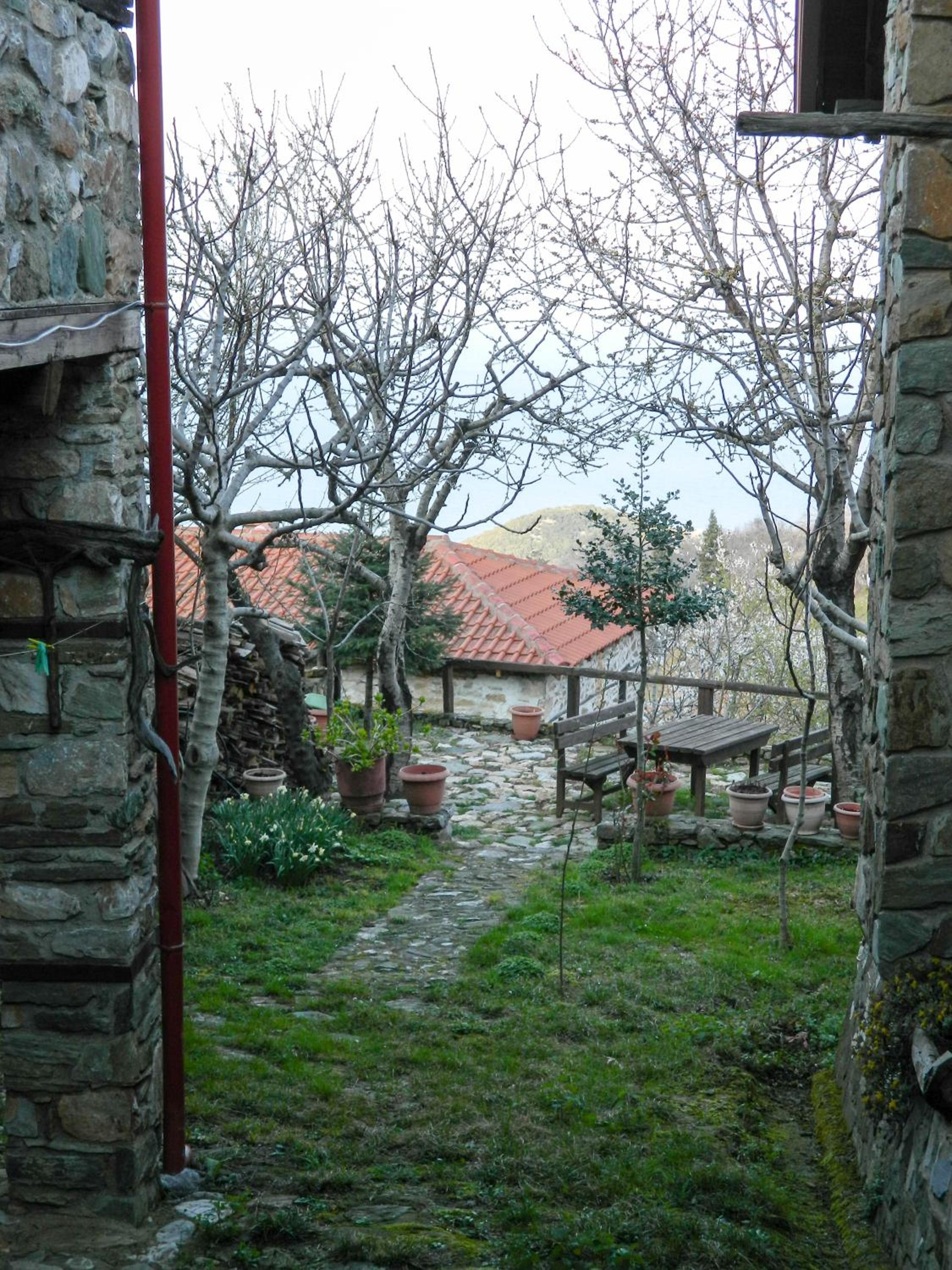 Photo 23