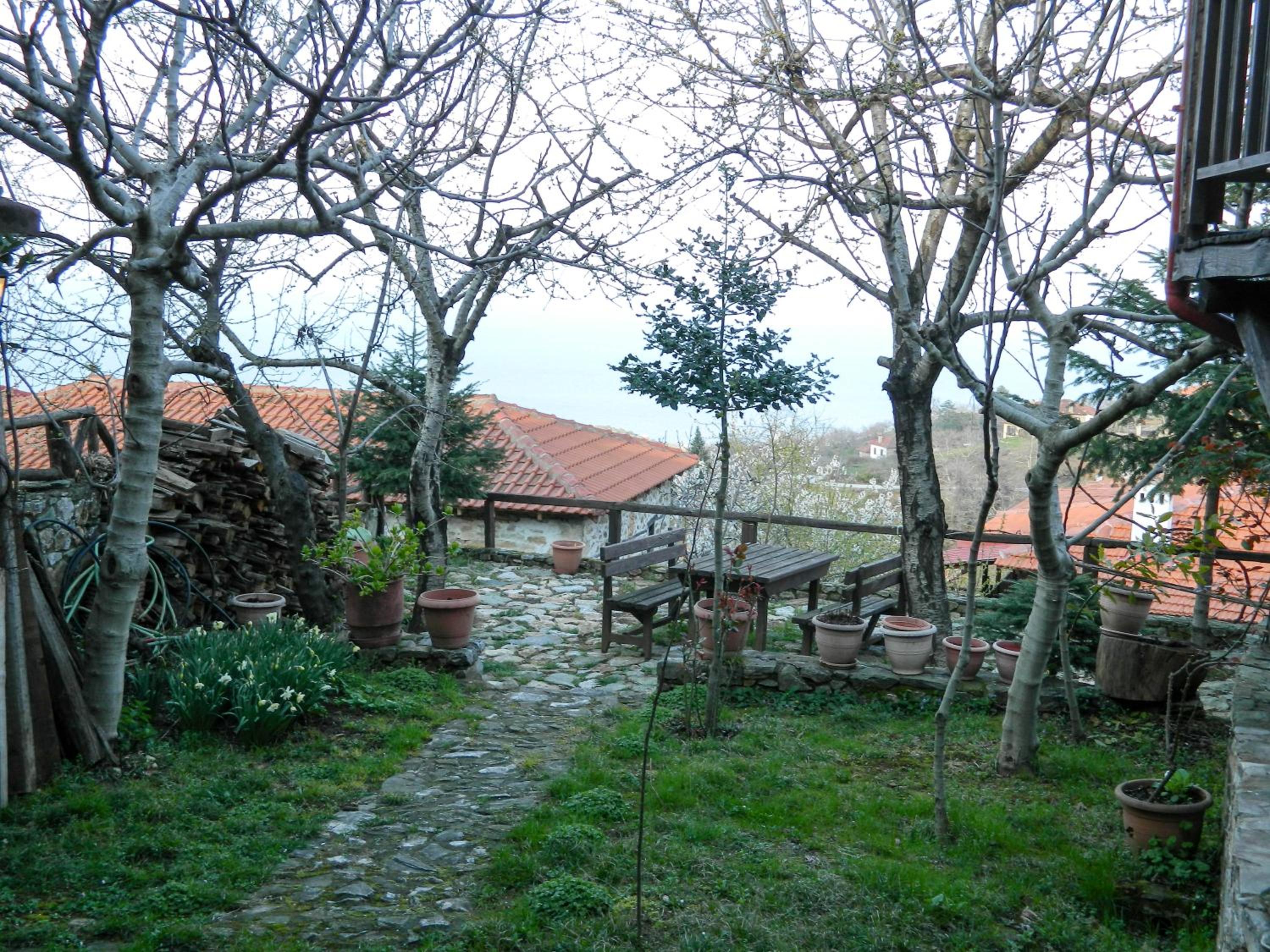 Photo 28