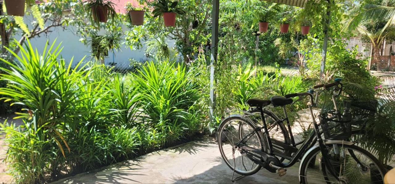 The Purple House view 4