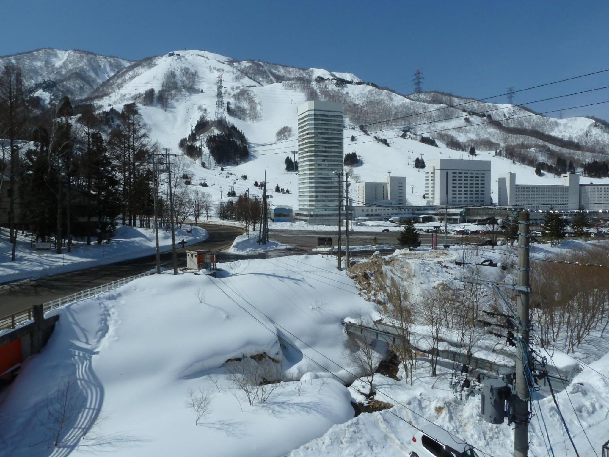 Ouji Penshon Naeba view 4
