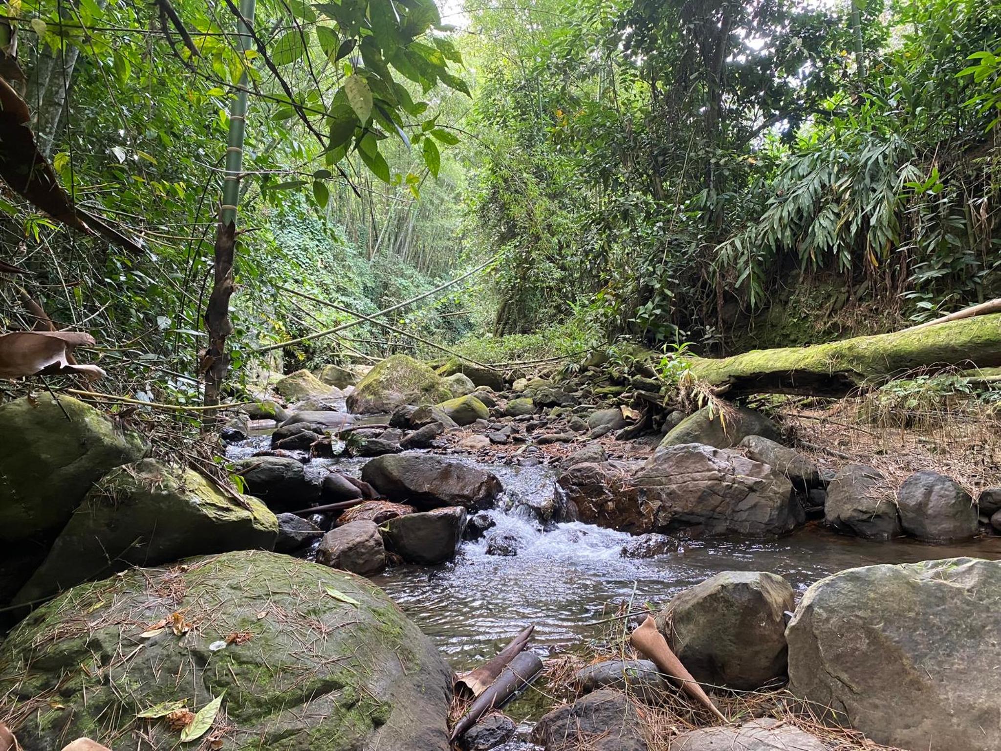 Finca El Remanso La Vega