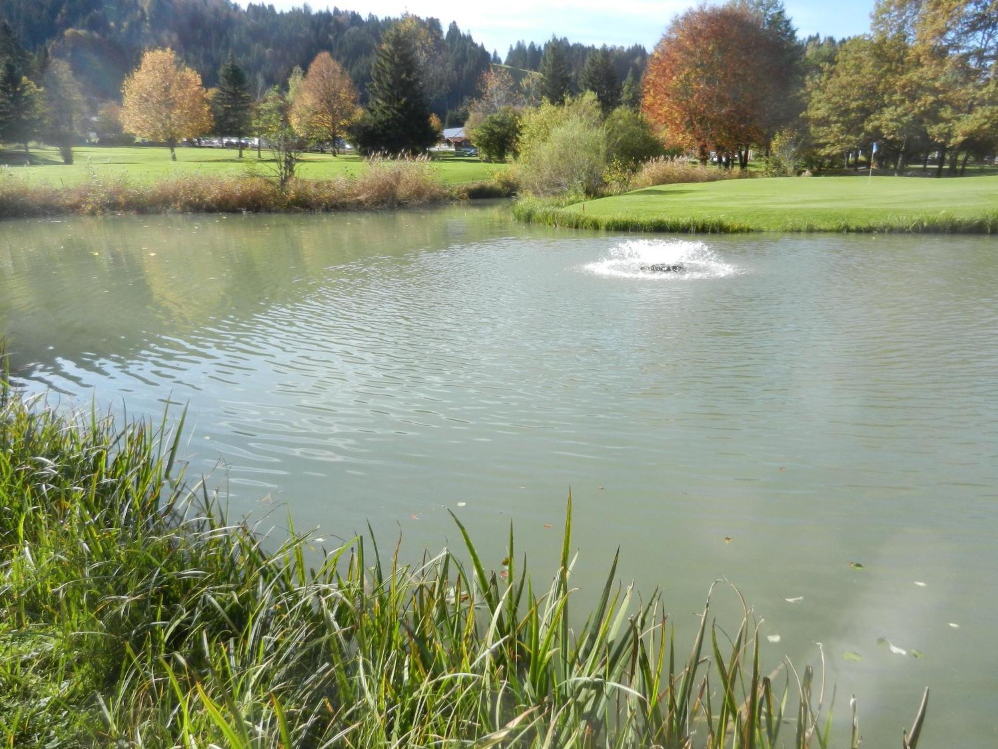 Appartement Bergfrieden Oberstaufen