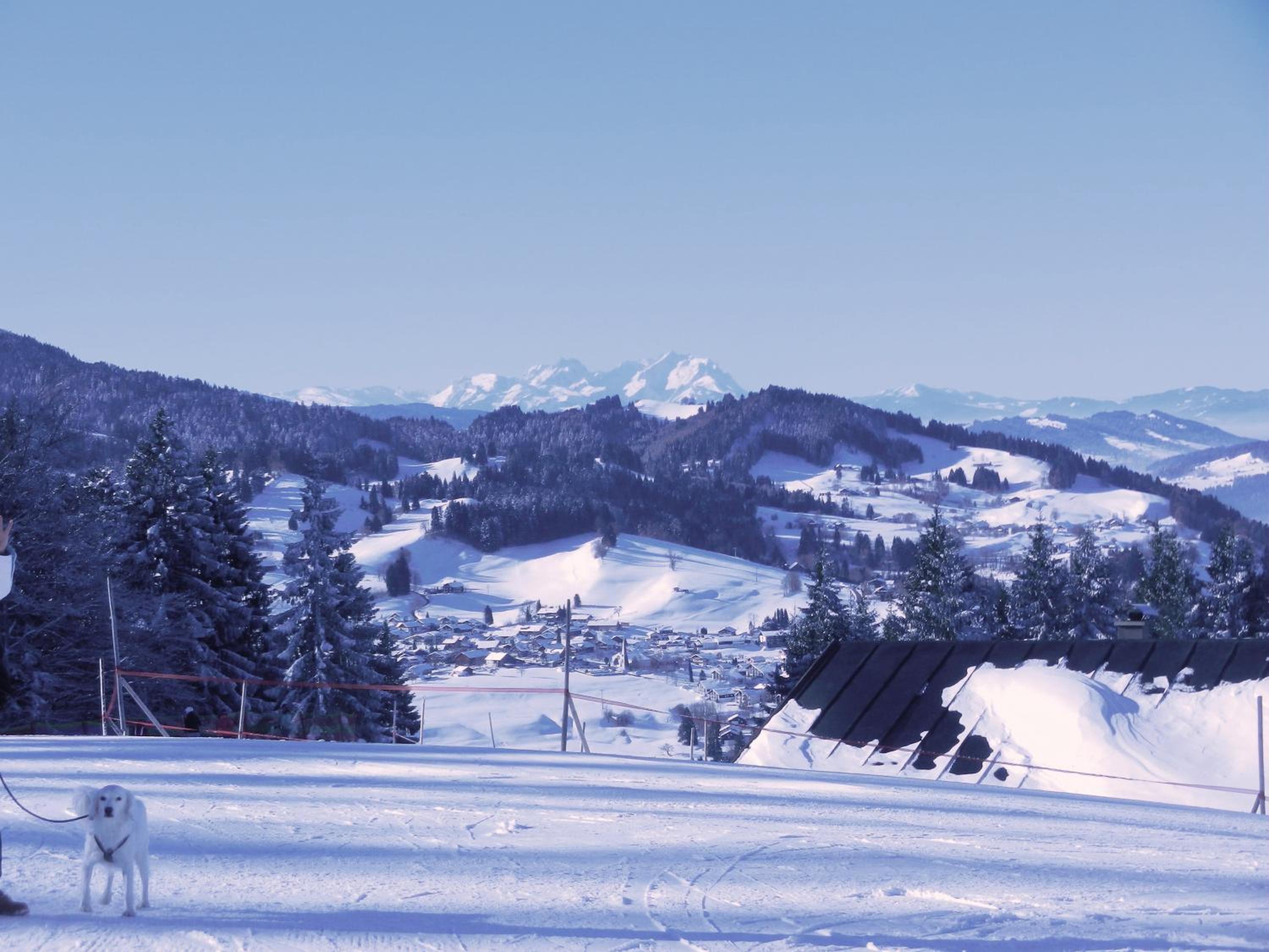 Appartement Bergfrieden Oberstaufen