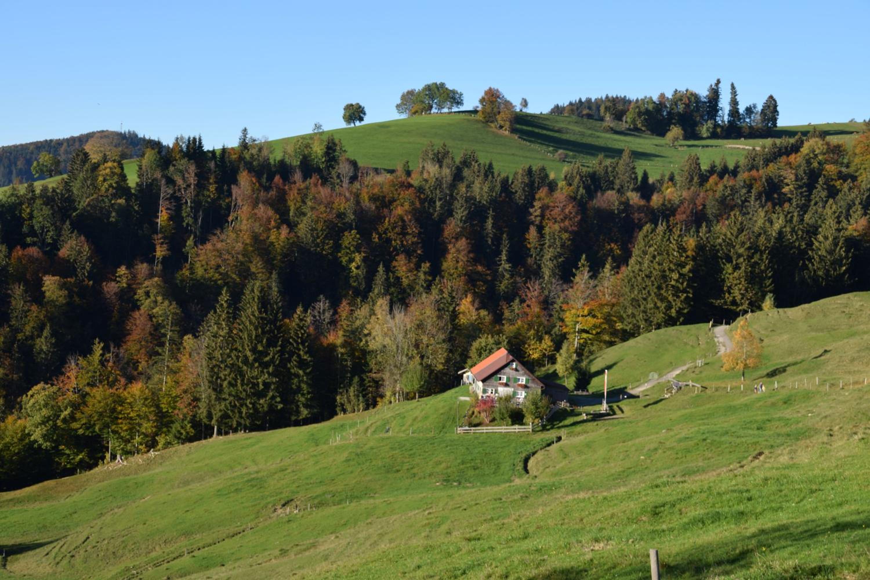 Appartement Bergfrieden Oberstaufen