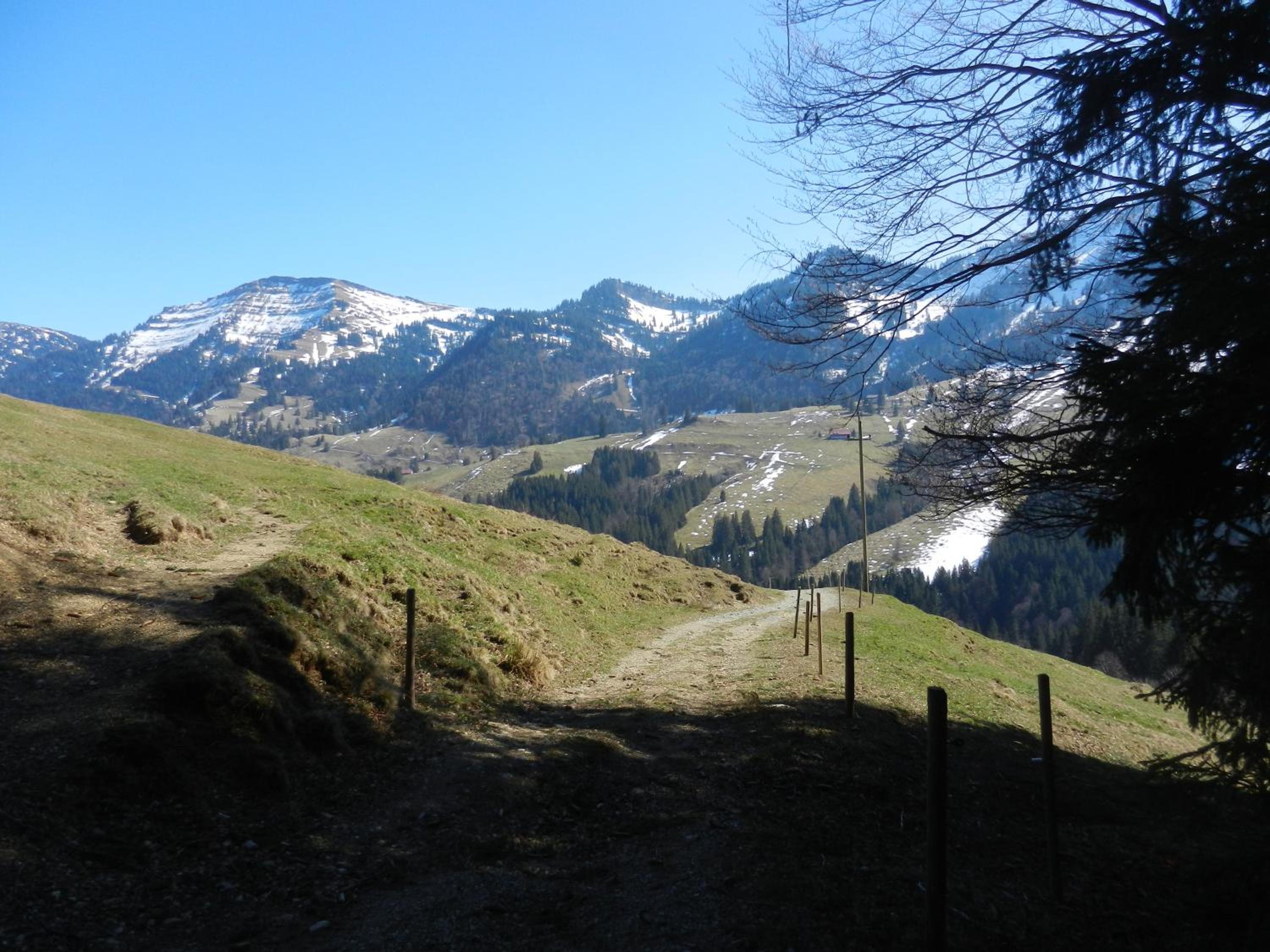 Appartement Bergfrieden Oberstaufen