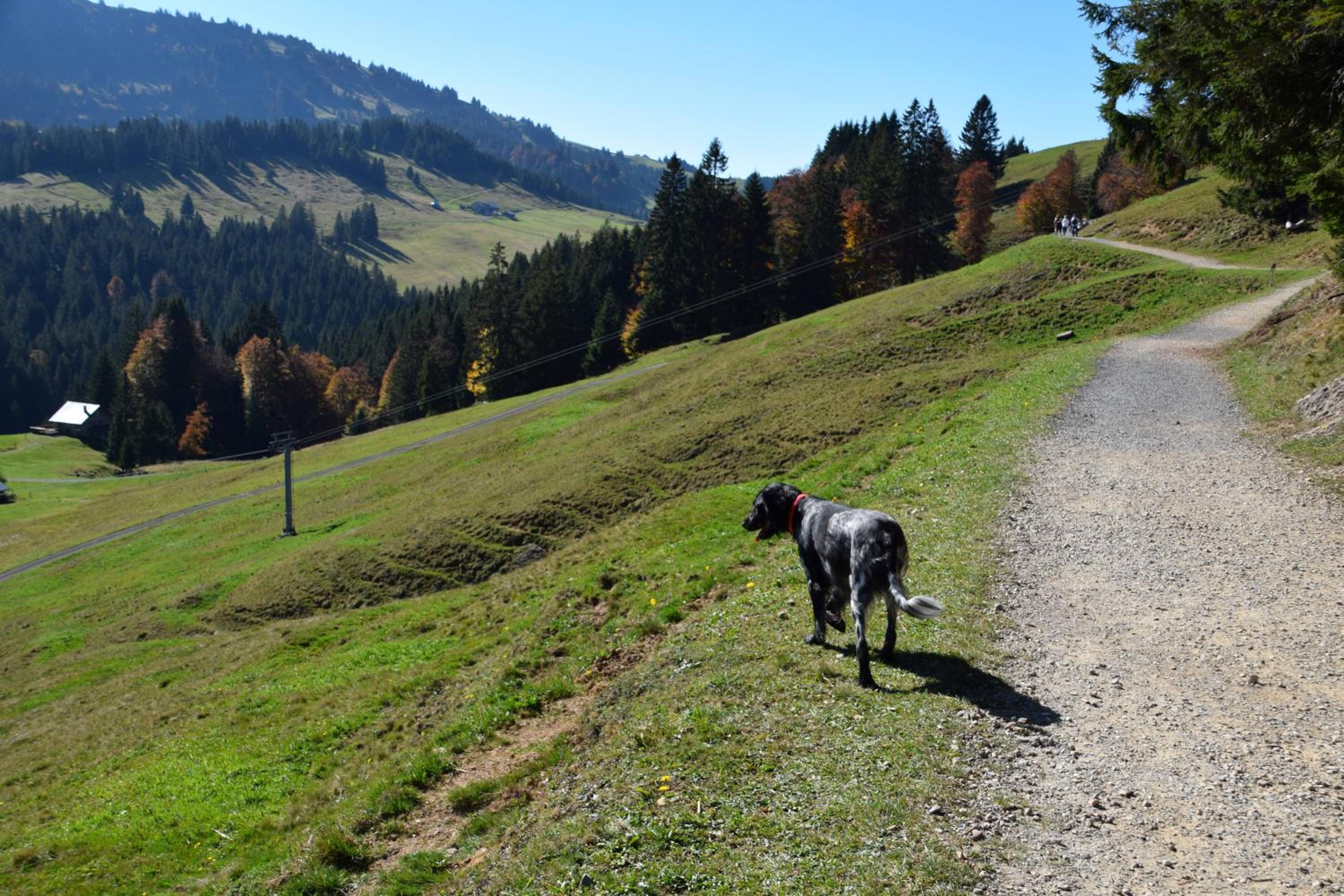 Appartement Bergfrieden Oberstaufen