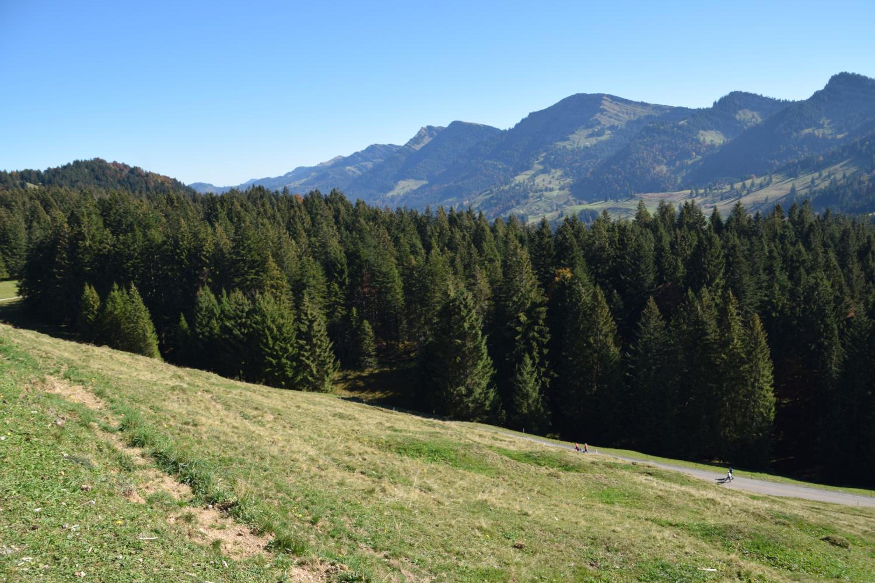 Appartement Bergfrieden Oberstaufen