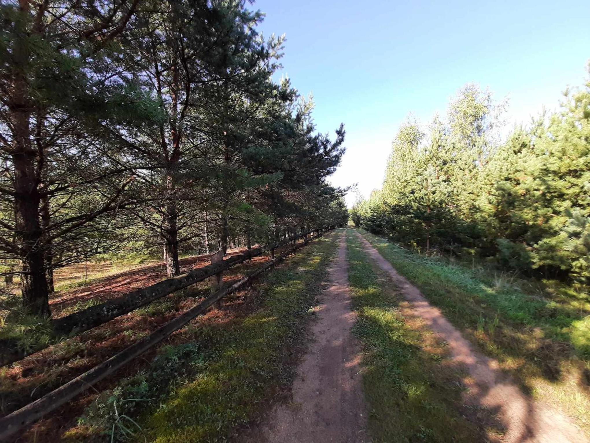 other