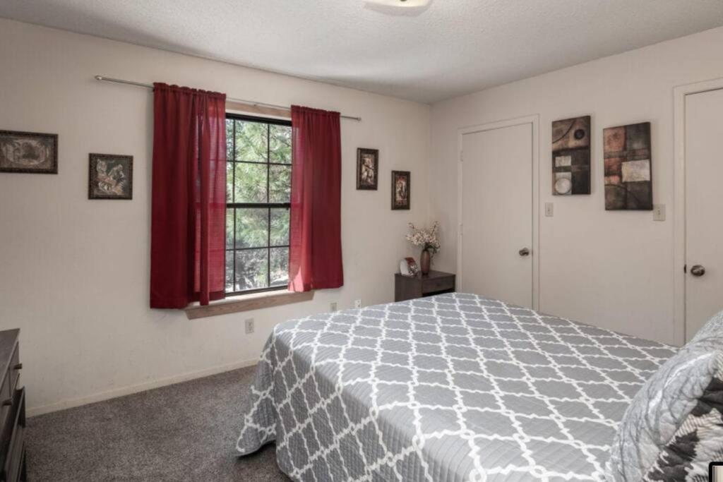 Coronado, Cabin at Ruidoso, with Forest View view 4