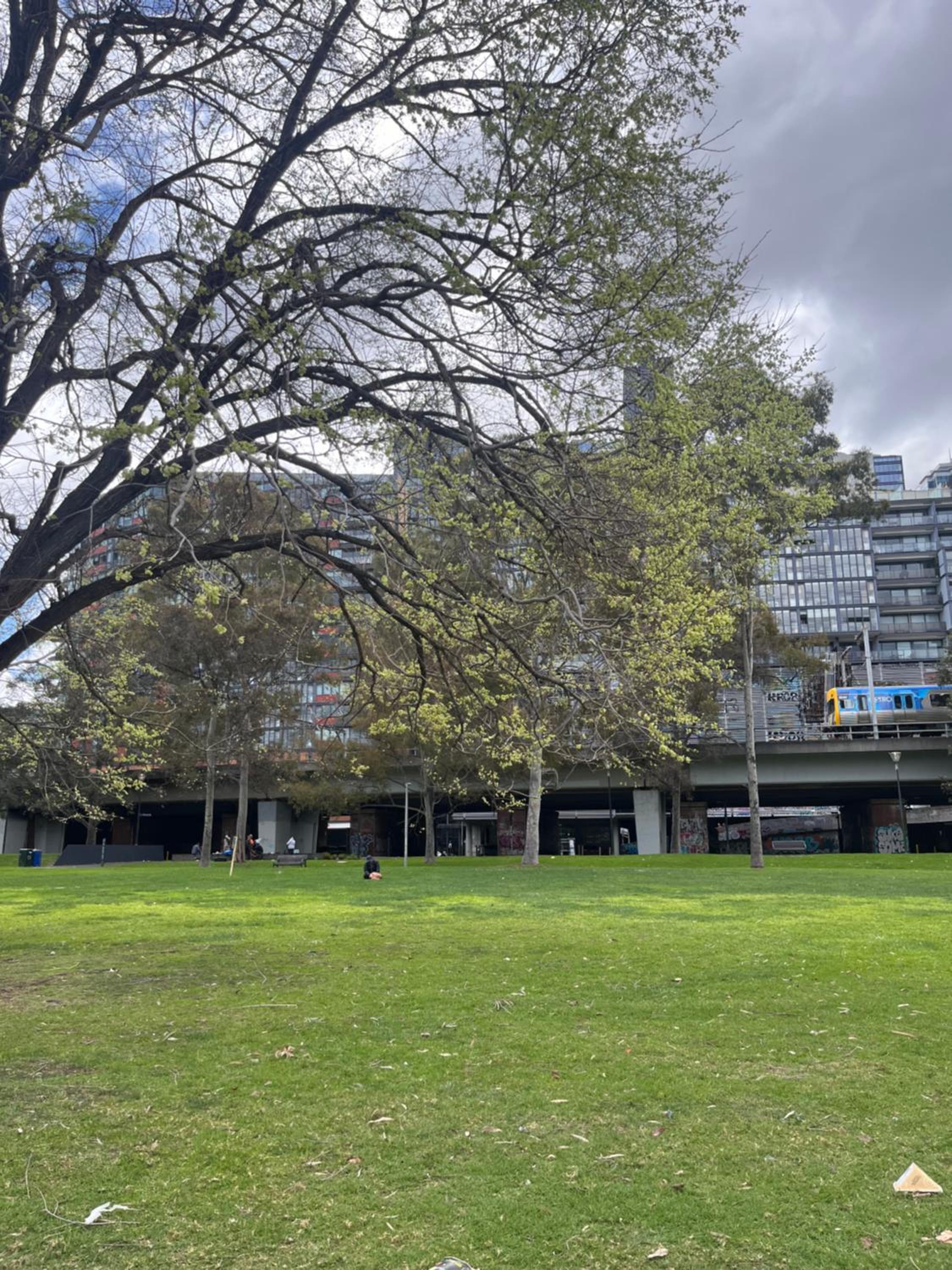 City Scape along Yarra River