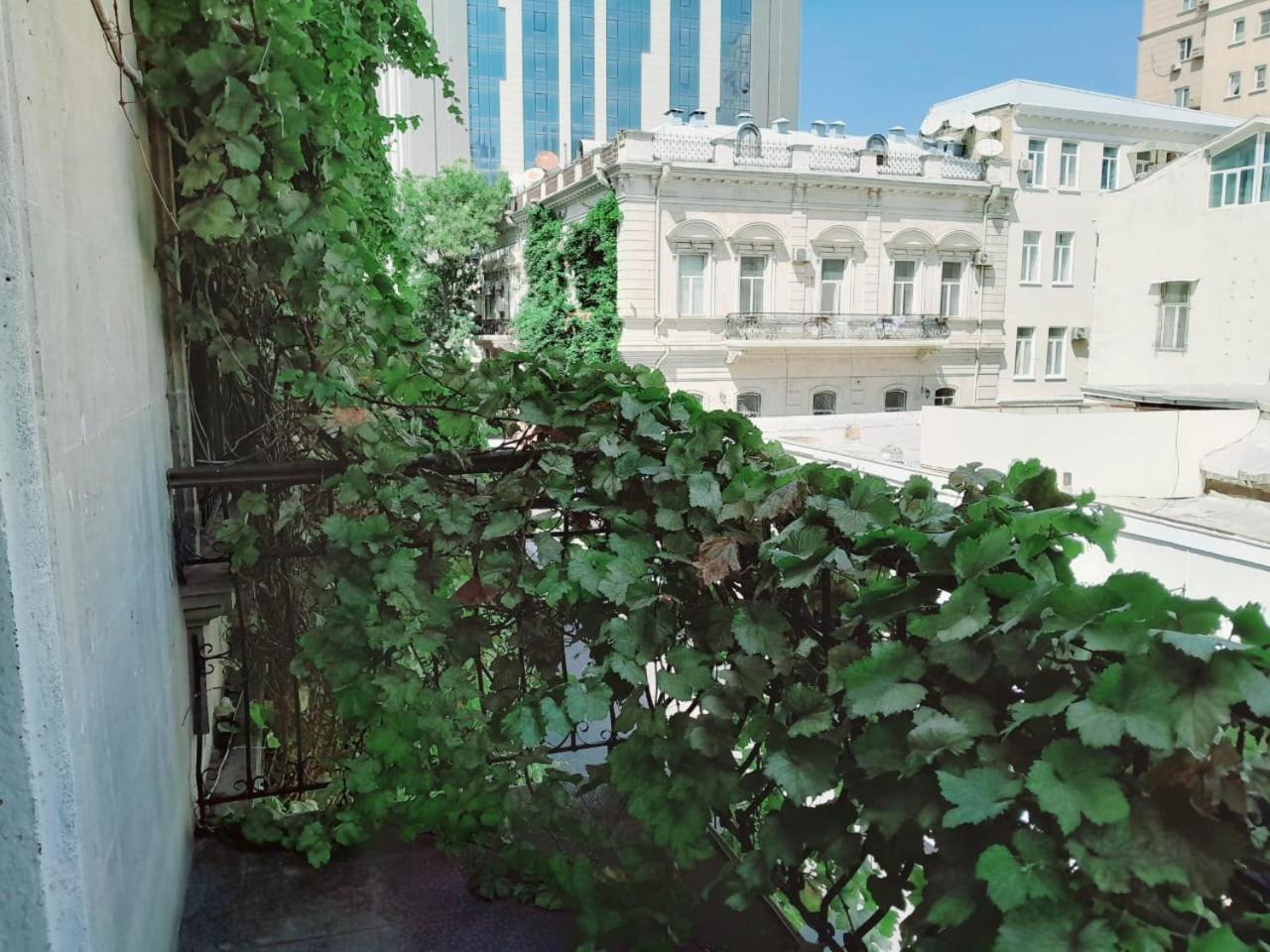 Vintage Boutique Hotel