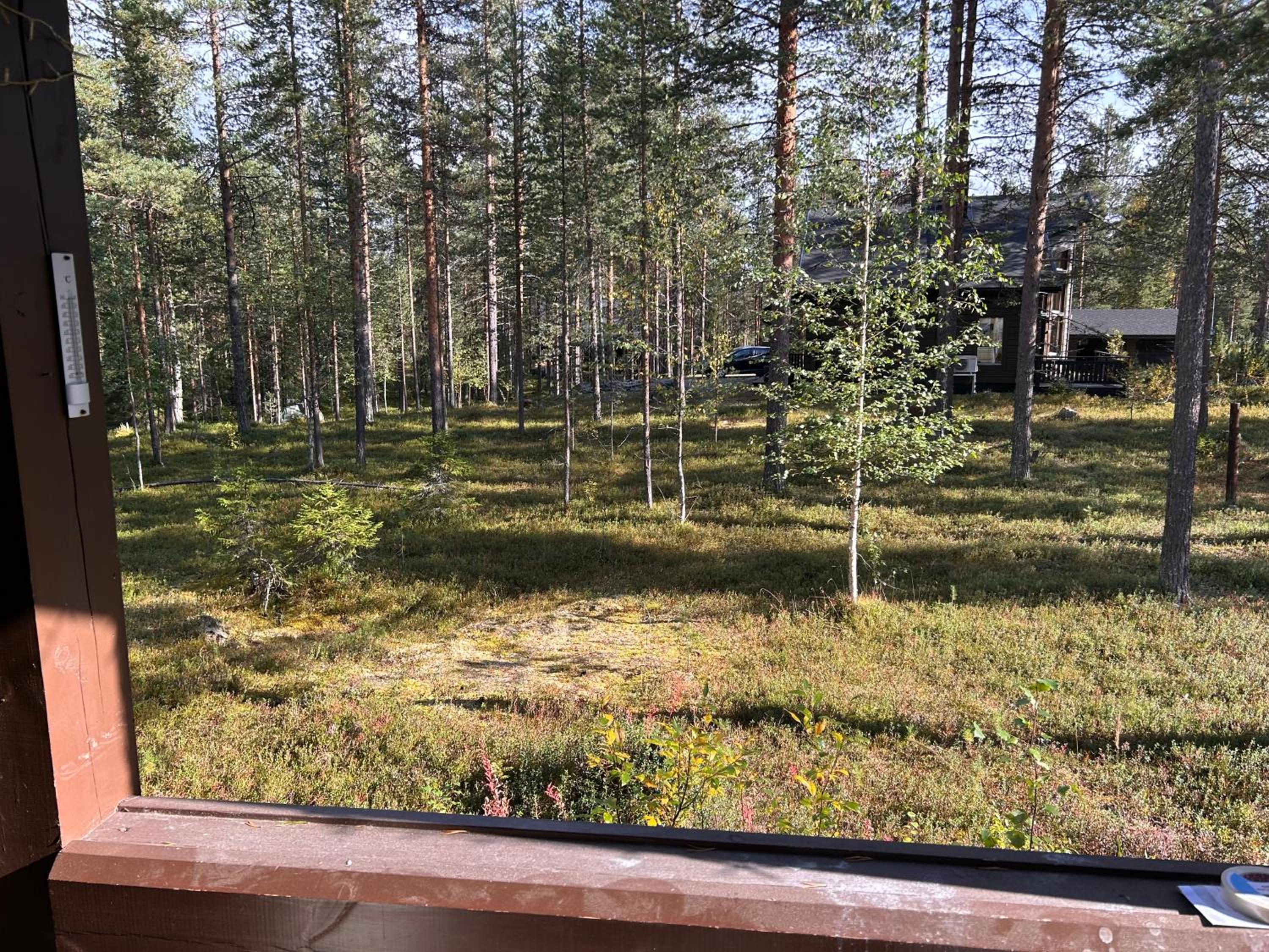 Unelmasäleikkö 2