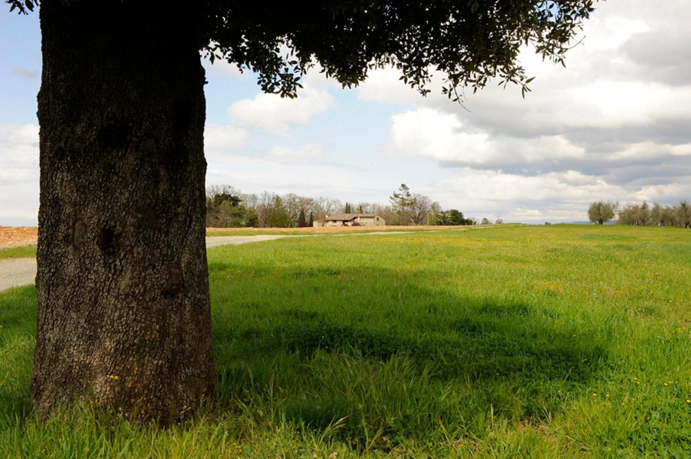 Fattoria Agriturismo Nerbona