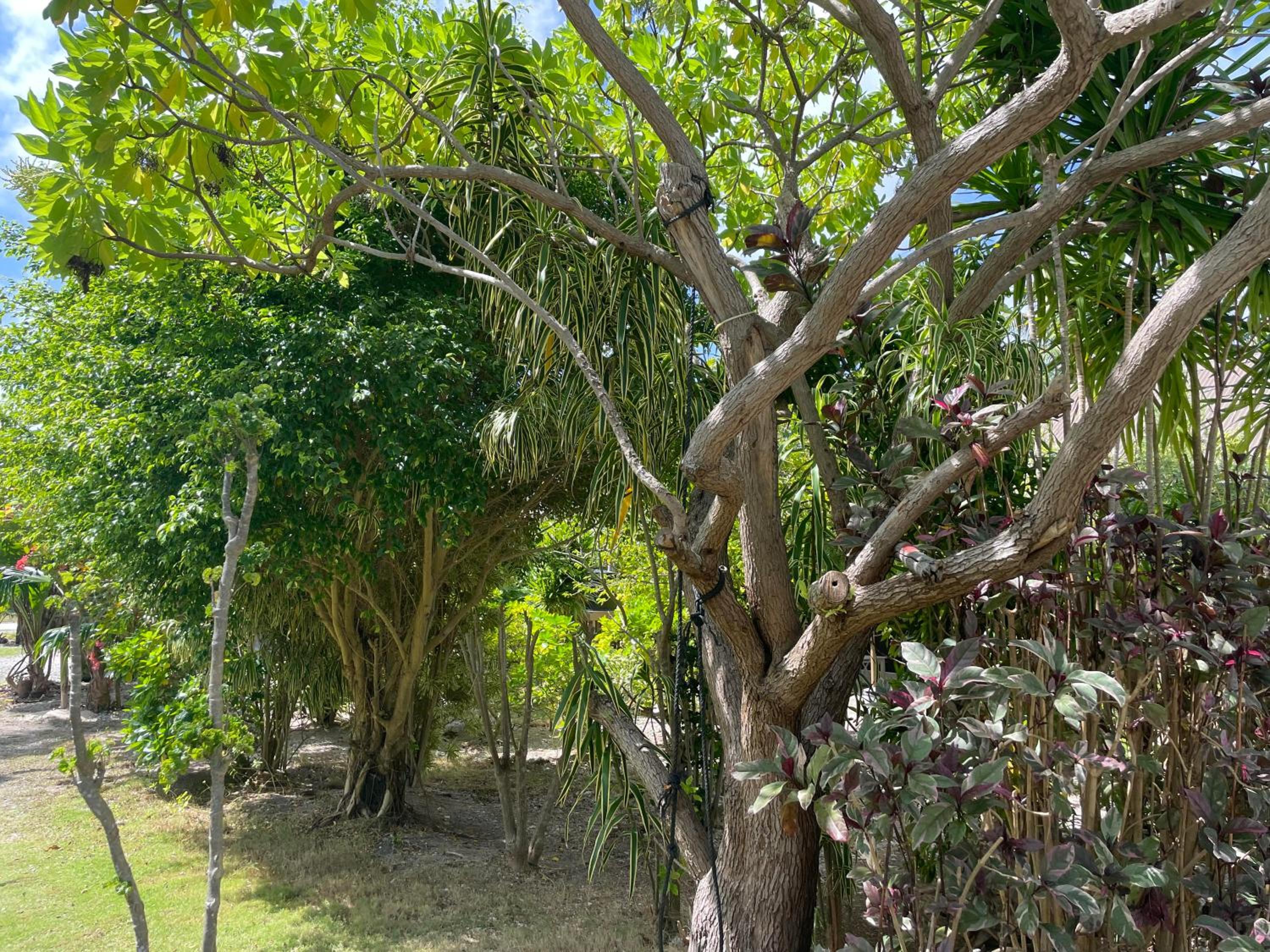 Rangiroa Ohana House